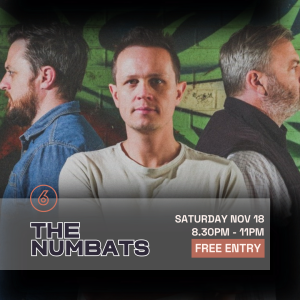 THE NUMBATS Live at Six Degrees