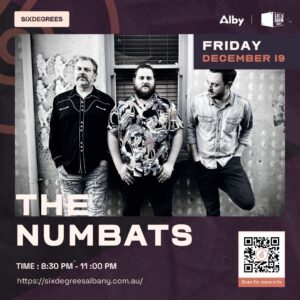 Festive & Unforgettable Pre-Christmas Party Albany | The Numbats 2025